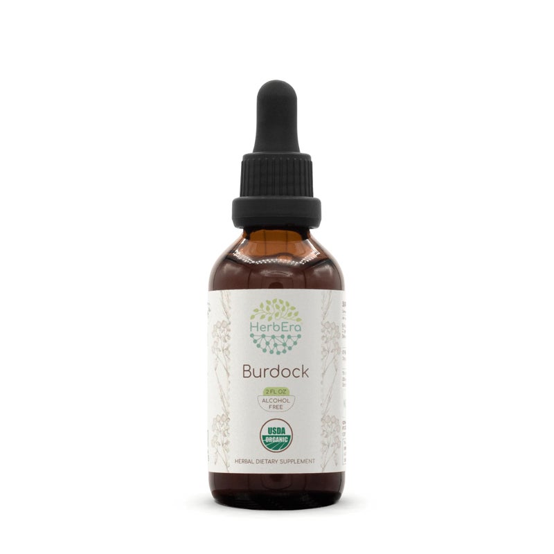 HerbEra Burdock B60 USDA Organic Tincture AlcoholFree Extract HighPotency Herbal Drops Certified Organic Burdock Arctium lappa Dried Root 2 oz